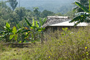 Baracoa, platteland bij El Yunque